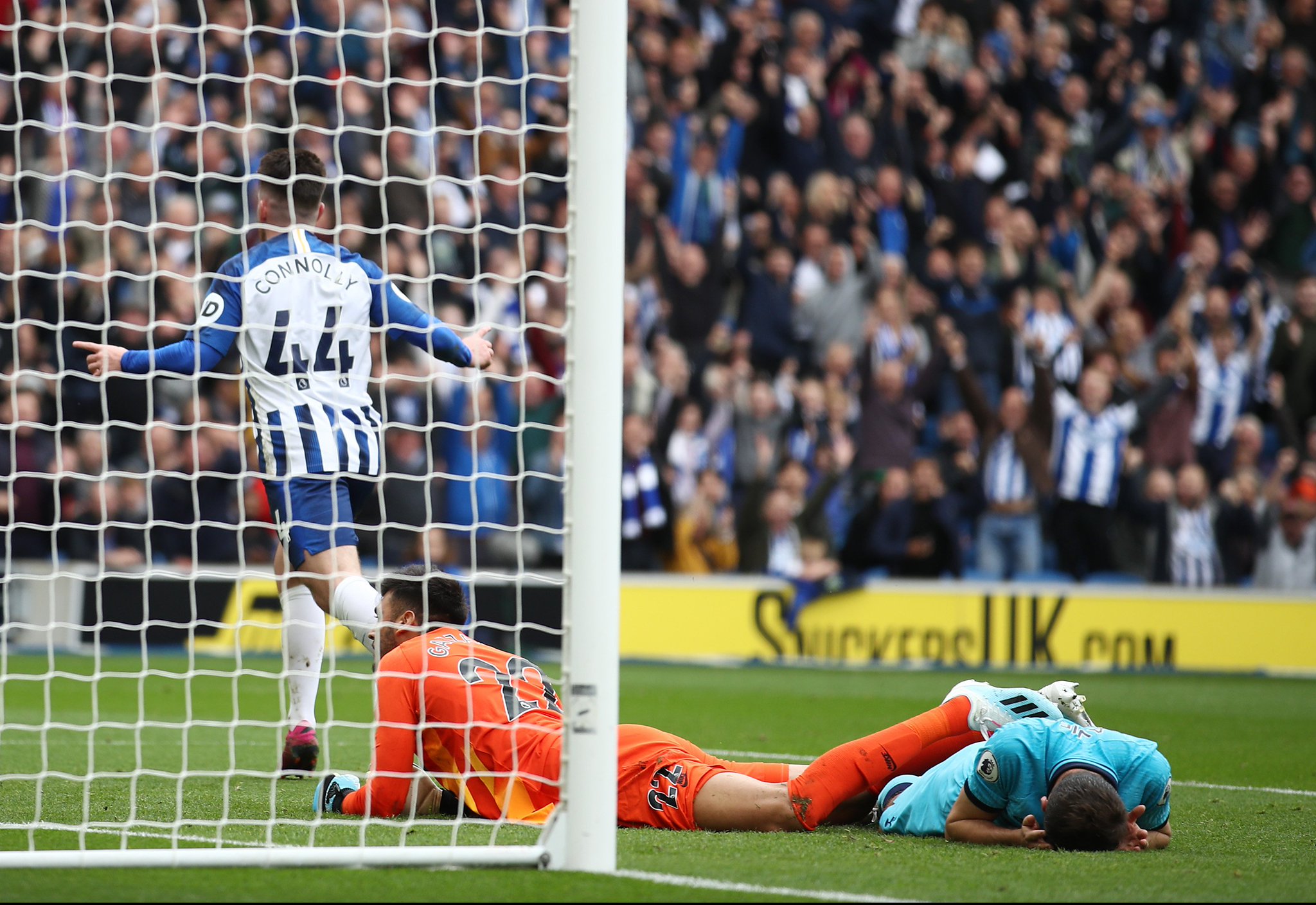 构建了专业 构建了专业